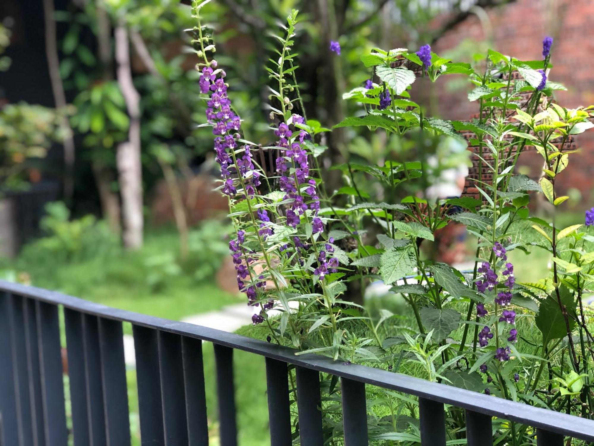 Kaia Residence Danang Quiet Garden Dış mekan fotoğraf