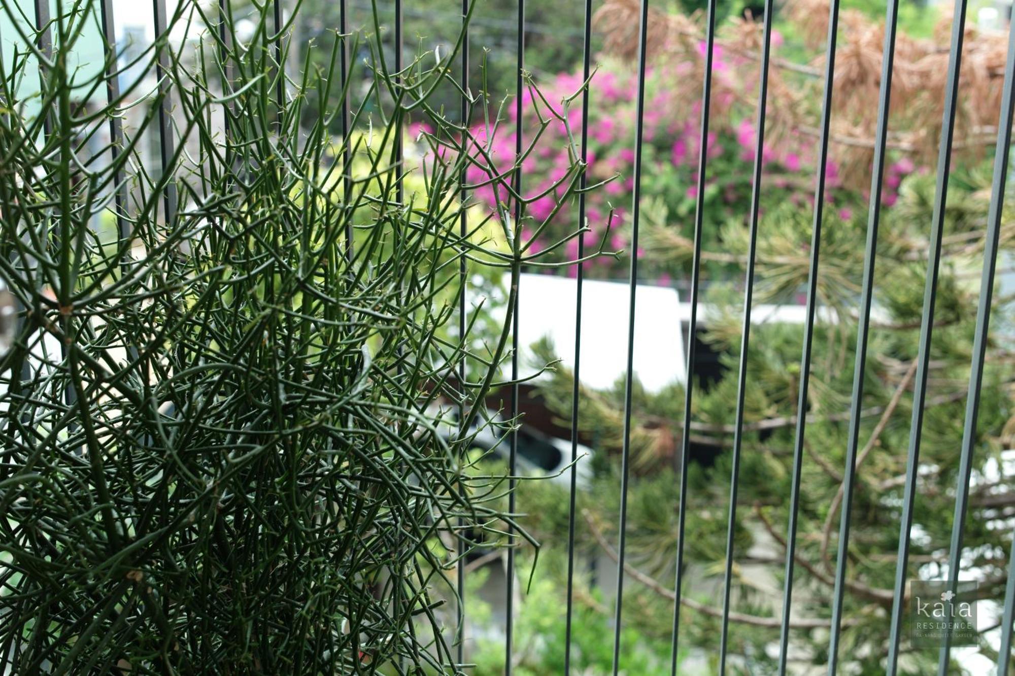Kaia Residence Danang Quiet Garden Oda fotoğraf