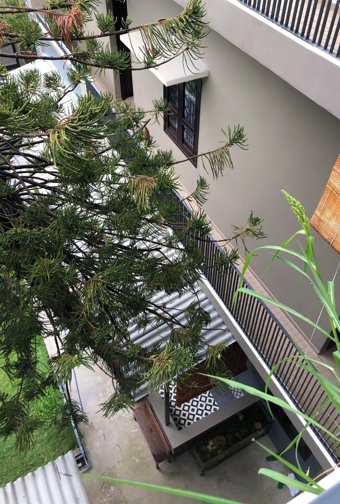 Kaia Residence Danang Quiet Garden Oda fotoğraf